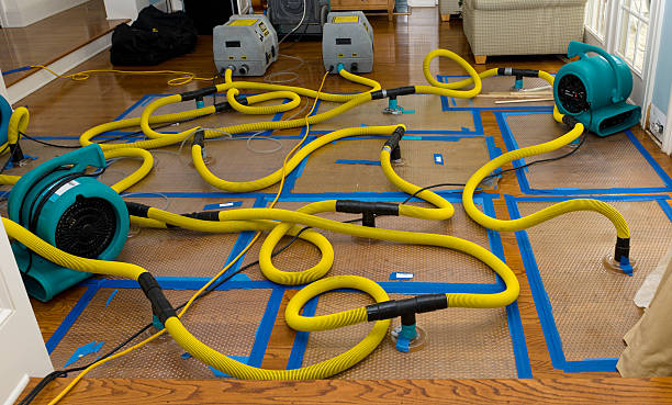 Professional Crawl Space Water Removal technician working in Newark, NJ